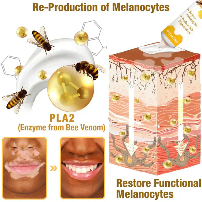 VitiGO Revitalizing Bee Venom Cream – Natural Skin Restoration & Vitality (Buy 1 Get 1 Free🔥)
